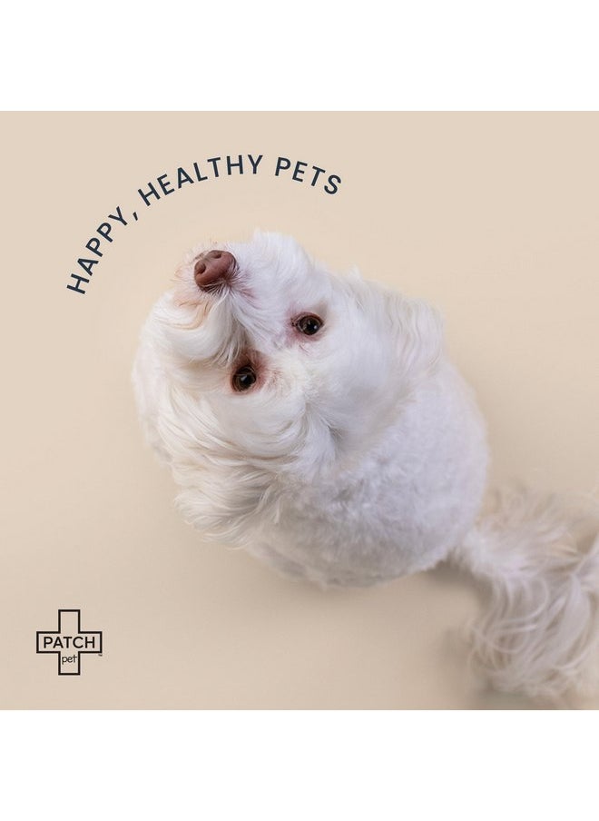 PATCH PATCH Eco Pet First Aid Kit for Dogs and Cats. Cat and Dog First Aid Kit with Bandages, Gauze Pads & Glove. Emergency First Aid Kit for Animals Including Puppy  - Image 4