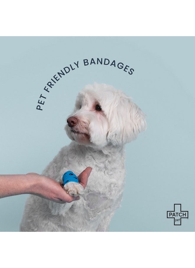 PATCH PATCH Eco Pet First Aid Kit for Dogs and Cats. Cat and Dog First Aid Kit with Bandages, Gauze Pads & Glove. Emergency First Aid Kit for Animals Including Puppy  - Image 3