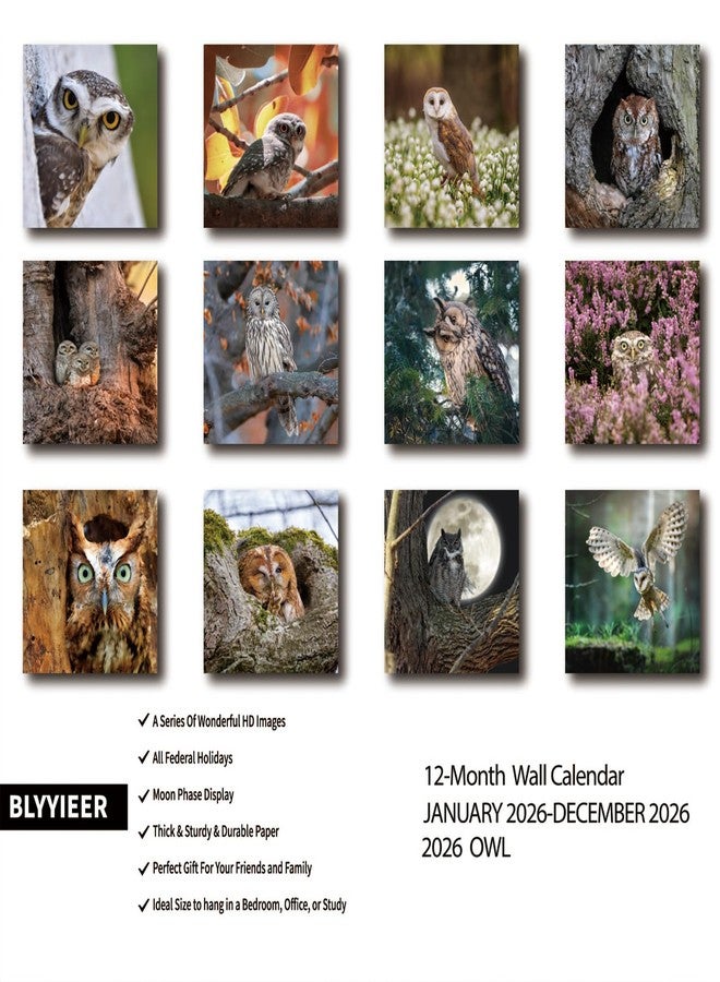 BLYYIEER 2026 Wall Calendar,Owl Calendar 2026,OWL Monthly Wall Calendar, 12" x 24" Open,Family Planner Calendar, Home & Office Organizer,Hangable - Image 2