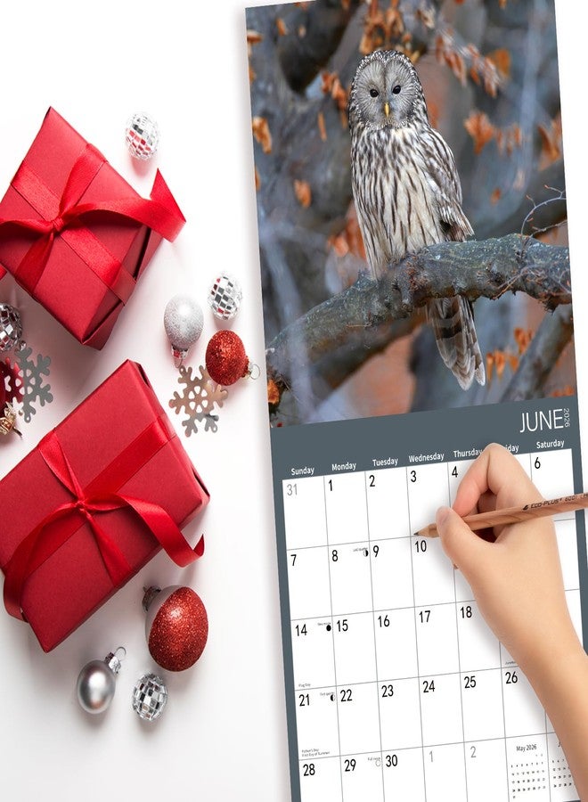 BLYYIEER 2026 Wall Calendar,Owl Calendar 2026,OWL Monthly Wall Calendar, 12" x 24" Open,Family Planner Calendar, Home & Office Organizer,Hangable - Image 5