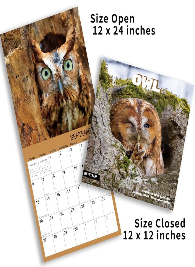 BLYYIEER 2026 Wall Calendar,Owl Calendar 2026,OWL Monthly Wall Calendar, 12" x 24" Open,Family Planner Calendar, Home & Office Organizer,Hangable - Image 4