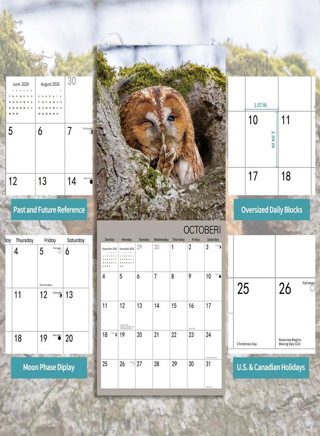 BLYYIEER 2026 Wall Calendar,Owl Calendar 2026,OWL Monthly Wall Calendar, 12" x 24" Open,Family Planner Calendar, Home & Office Organizer,Hangable - Image 3