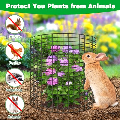Doksving 10 Pcs 118x 118118x 196 Available Chicken Wire Cloches for Plants Plant Protector from Animal Garden Covers Netting Iron Wire Mesh to Protect Plants Vegetables from Rabbit Squirrel Chicken - Image 3