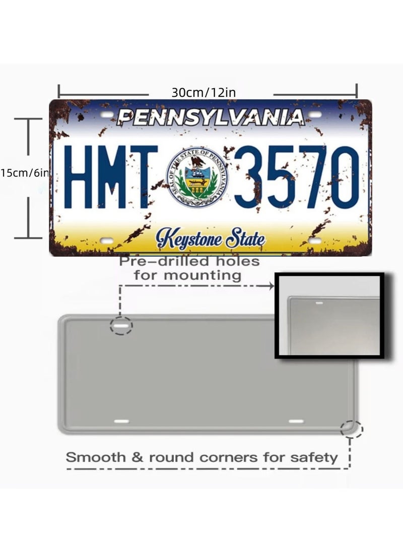 Classic design car metal license plate for decoration - Image 2