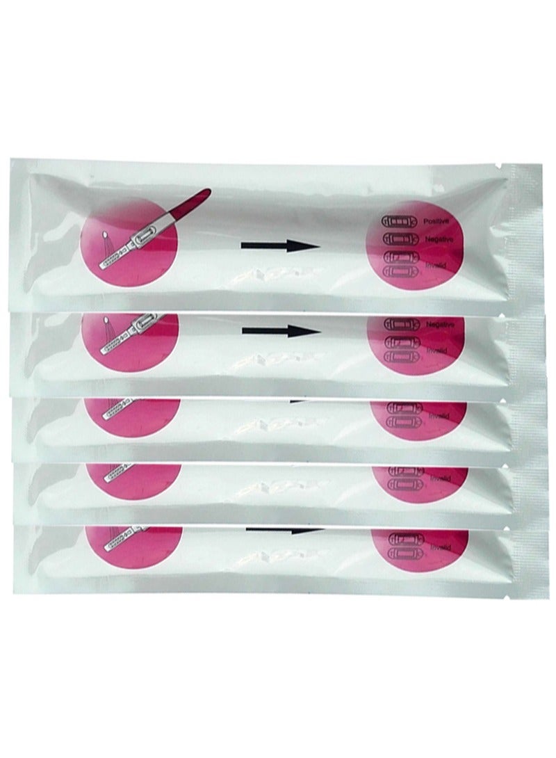 HaLunhi 5 PCS HCG Pregnancy Test Midstream Early Detection Pregnancy Tests  - Image 1