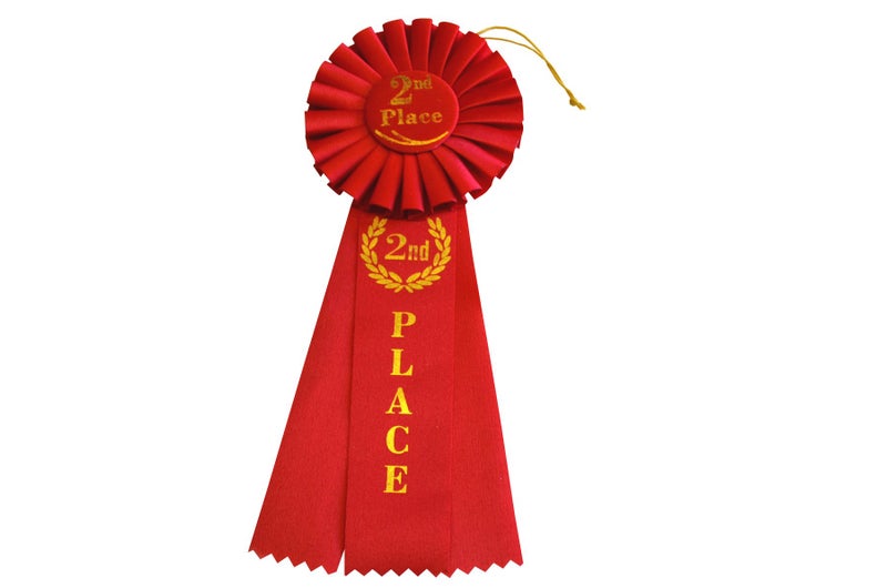 Hayes Specialties Corp 2nd Place Rosette Ribbon
