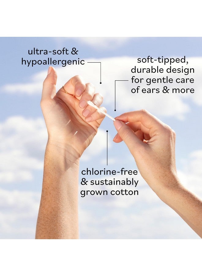 سكاي أورغانكس سكاي أورجانيكس - أعواد قطنية عضوية، ١٠٠٠ قطعة - أطراف ناعمة للغاية - قوية ومتينة - مضادة للحساسية - خالية من الكلور - مستدامة - طبيعية، نباتية، وخالية من القسوة - للعناية بالبشرة والعناية بالنفس - Image 4