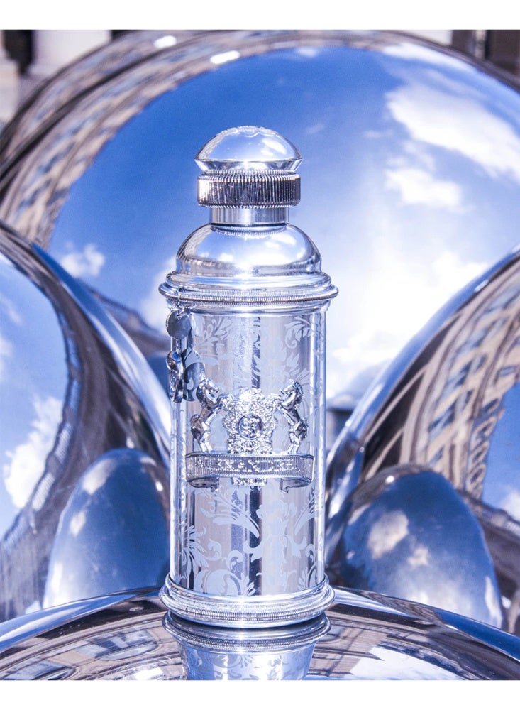 Alexandre J Silver Ombre EDP 100 ml - Image 3