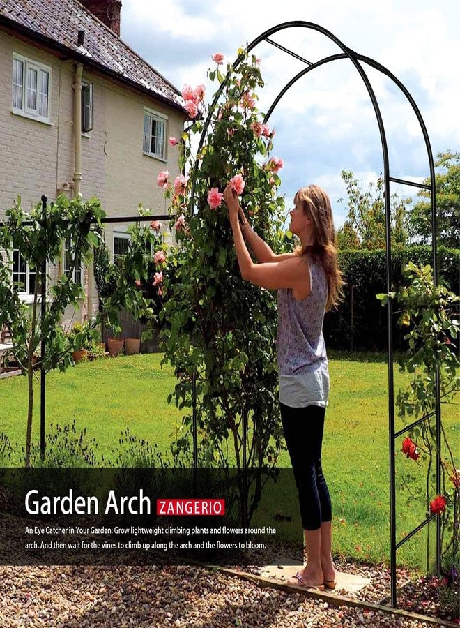 ZANGEROI Garden Arch Trellis for Climbing Plants Outdoor Wedding Arches for Ceremony Black Metal Garden Arbor Indoor Garden Arches for Party Decoration 7.9ft Wide X 6.4ft High (Garden Trellis) - Image 2