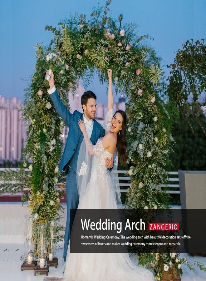 ZANGEROI Garden Arch Trellis for Climbing Plants Outdoor Wedding Arches for Ceremony Black Metal Garden Arbor Indoor Garden Arches for Party Decoration 7.9ft Wide X 6.4ft High (Garden Trellis) - Image 3