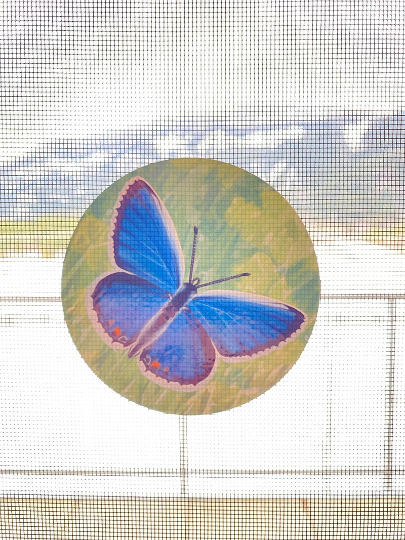 The Decal Empire ملصقات أبواب الشاشة القابلة للسحب 6 في العبوة ابقِ الأطفال آمنين تنبه الطيور والكلاب والأطفال احذر واحمِ سلامة النوافذ الفراشات