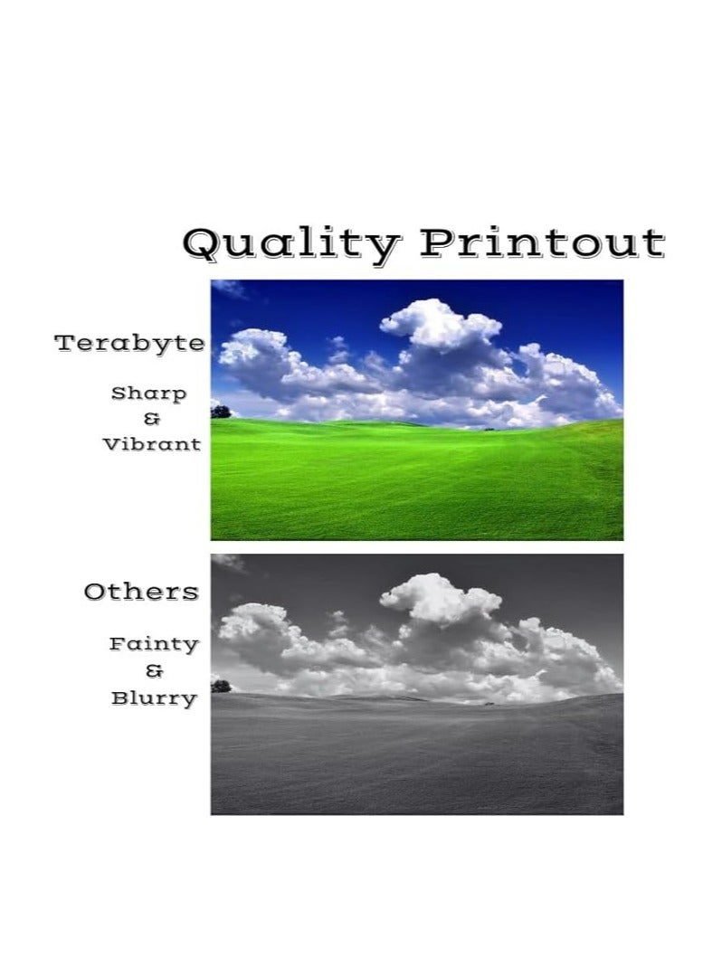 Terabyte 4-Piece Compatible Toner Cartridge Set For  201A CF400A Multicolour - Image 4