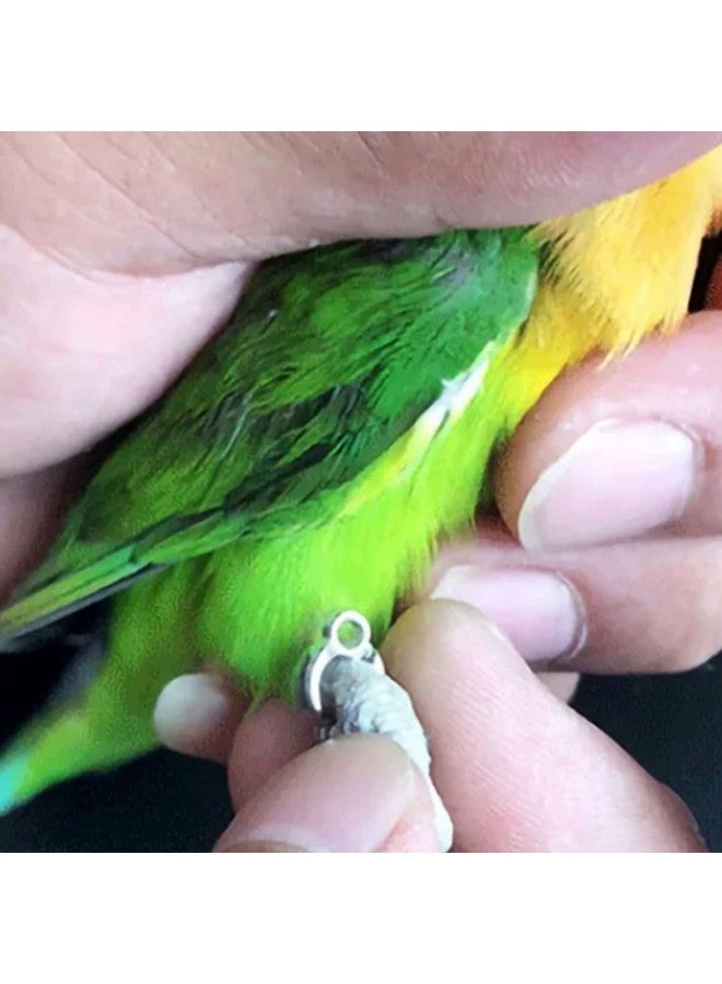 Zerodis Parrot Flying Rope,19.7ft Ultra Light Anti Bite Portable Bird Flying Training Leash Parrot Foot Chain Pet Bird Supplies for Macaw African Greys Parakeet Cockatoo, Silver - Image 4