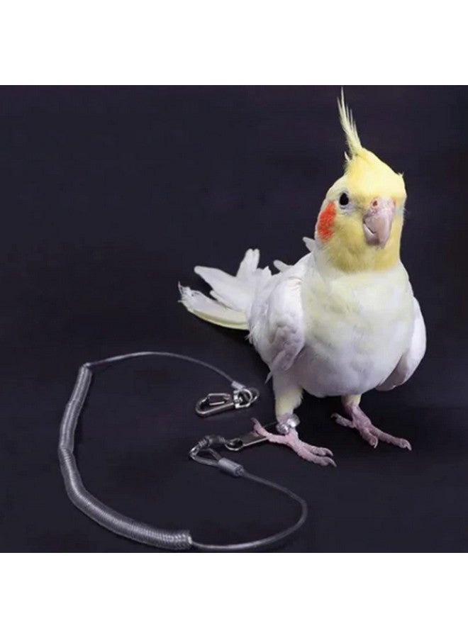 Zerodis Parrot Flying Rope,19.7ft Ultra Light Anti Bite Portable Bird Flying Training Leash Parrot Foot Chain Pet Bird Supplies for Macaw African Greys Parakeet Cockatoo, Silver - Image 2