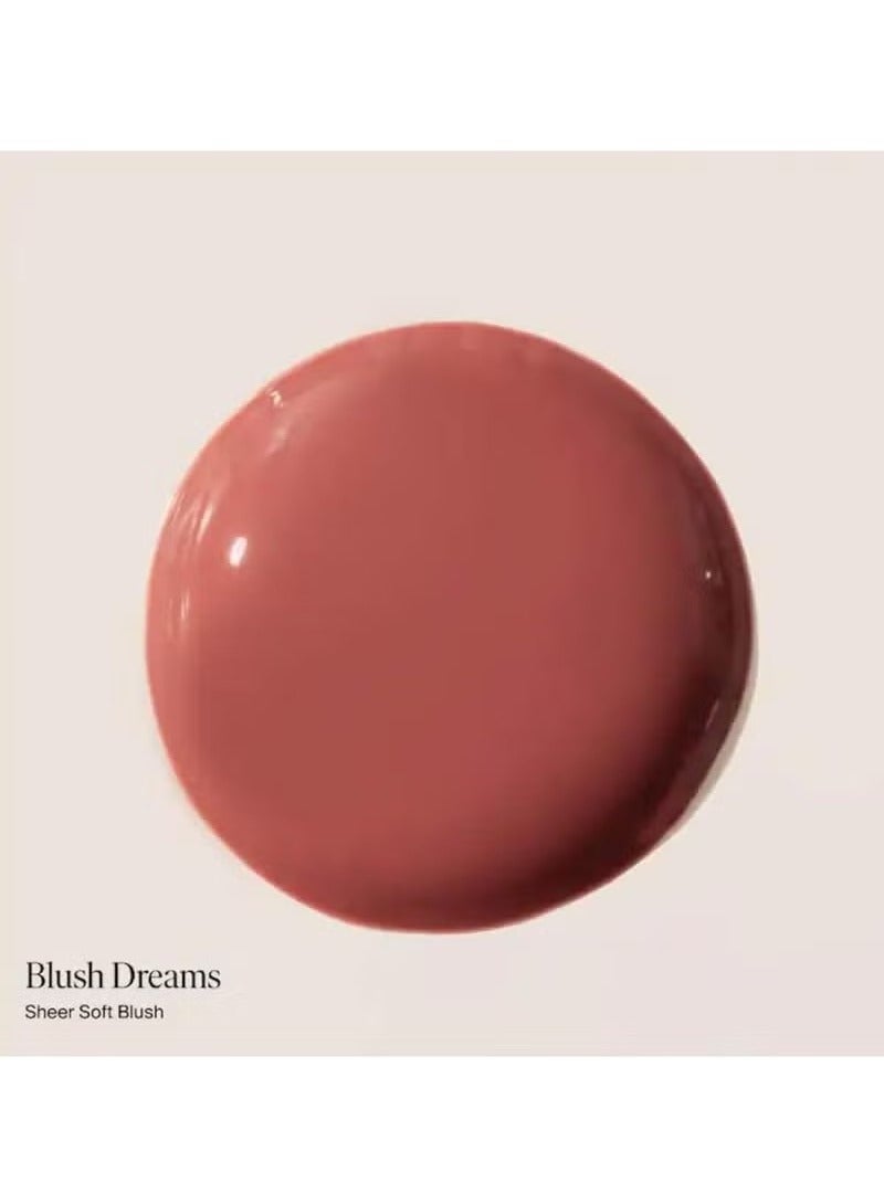 سامر فرايدايز بلسم الشفاه الملون مع غطاء مرطب شفاف ، لمعان عالية وعميقة الترطيب - دائم ، لينة ، غير عصا الصيغة - أحمر الخدود حلم ( 0.15 أوقية ) - Image 2