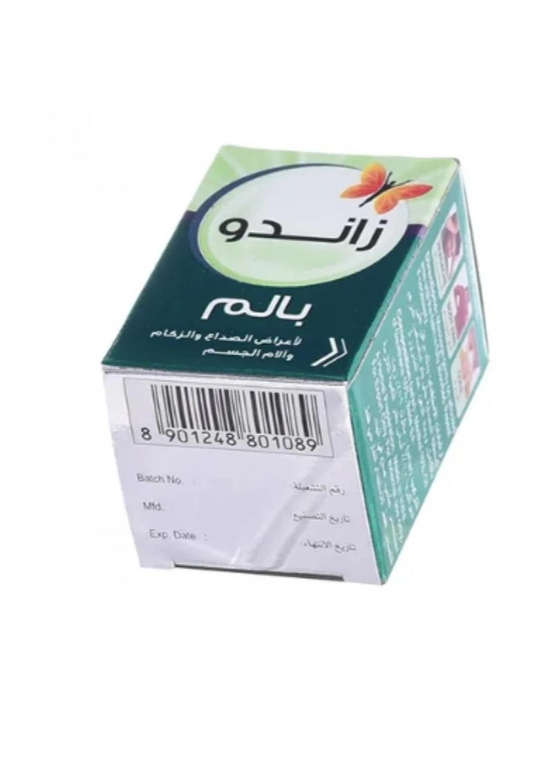 fX - Zando Pain Fix 9 ml - Image 1