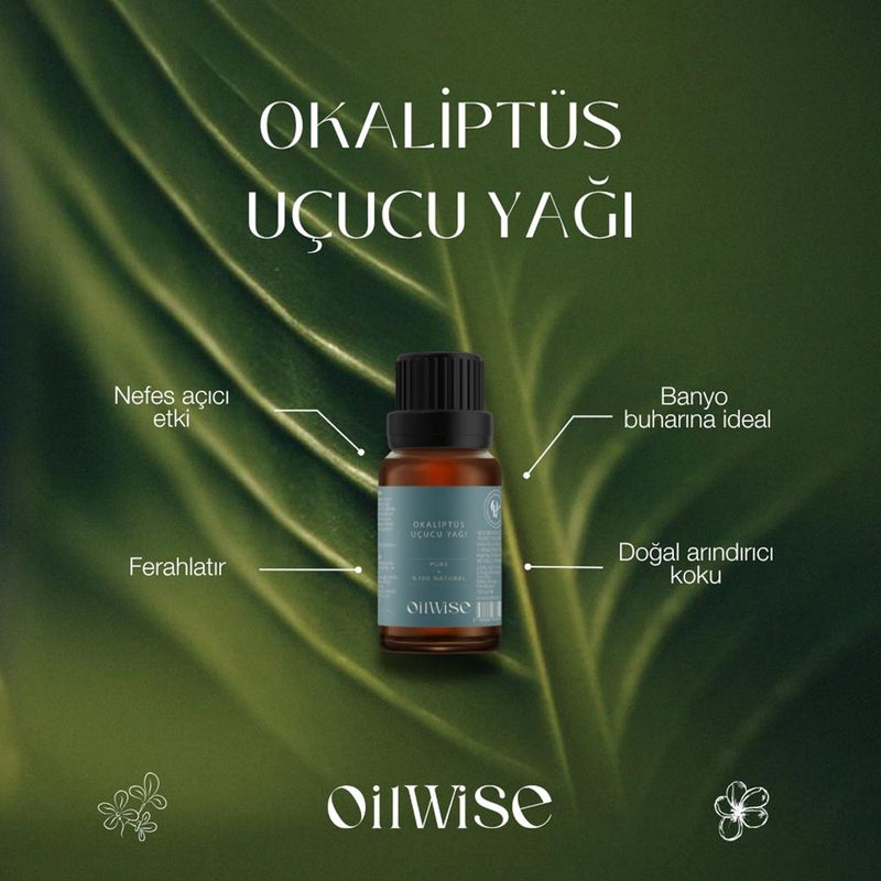 Oilwise Eucalyptus Oil, 10 ml - Image 1