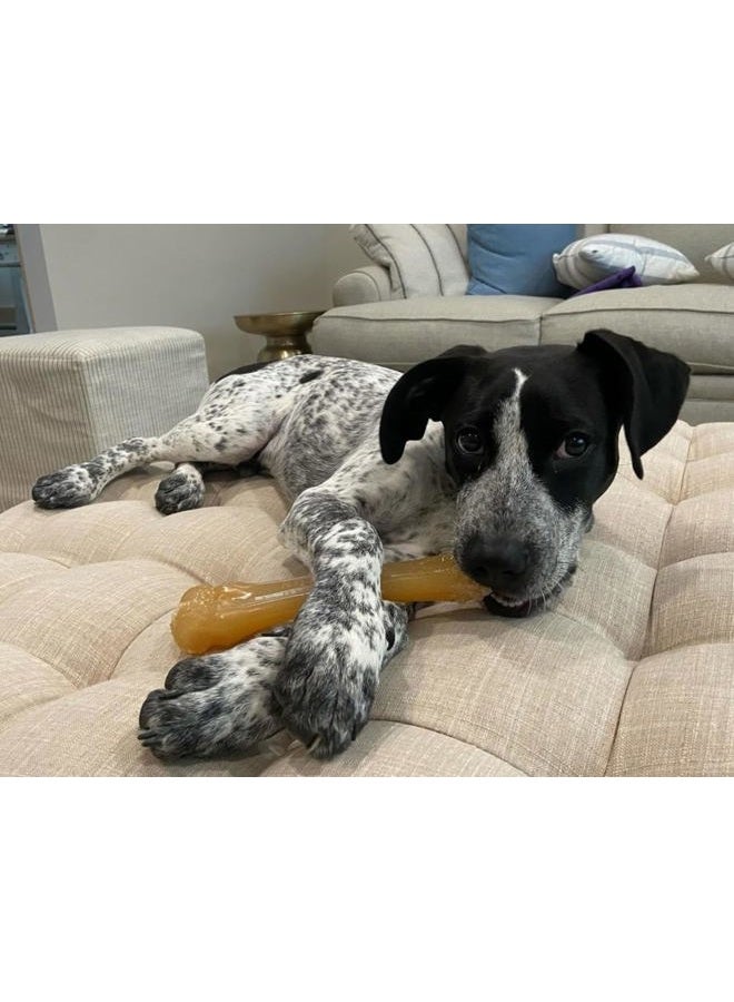 Nylabone Flex Moderate Chew Dog Toy Chicken X-Large/Souper (1 Count) - Image 4