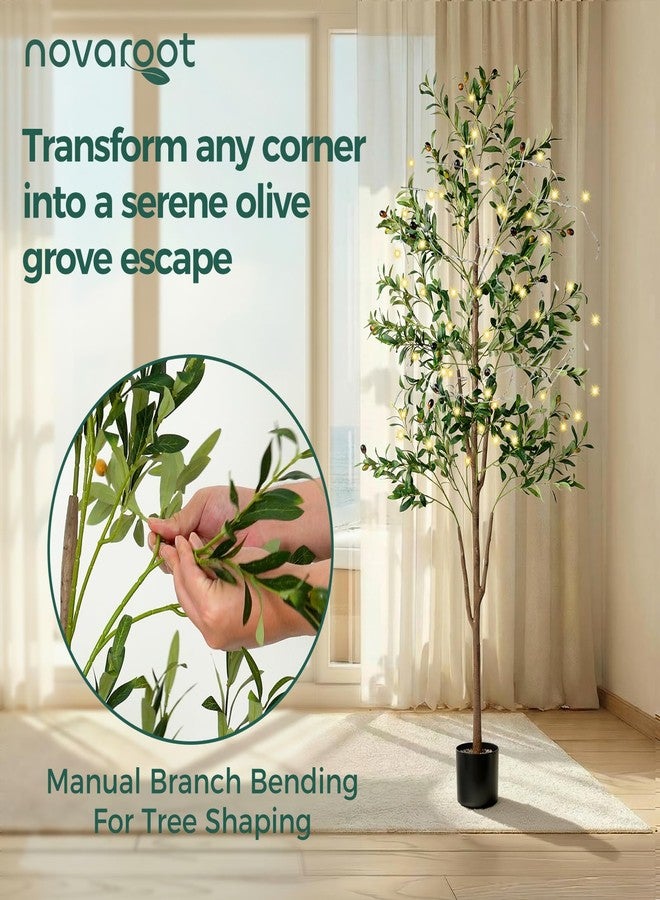 NOVAROOT Olive Tree, 6FT Tall Faux Olive Tree with Moss and Planter, Olive Trees Artificial Indoor with Realistic Wood Trunk and Lifelike Fruits, Fake Olive Tree for Home Office Living Room Decor - Image 5