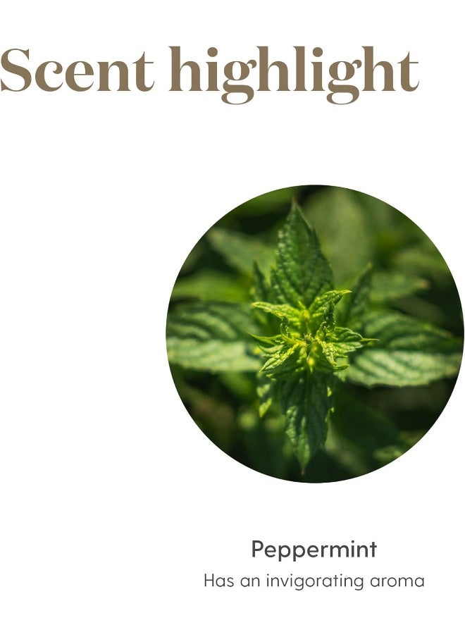 Young Living Young Living Essential Oil Peppermint 5 ml  - Image 5
