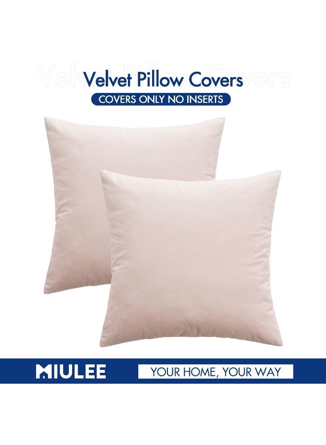 MIULEE MIULEE Pack of 2 Pillow Covers Velvet Throw Pillow Covers 20x20 Inch Soft Solid Decorative Square Set Cushion Cases for Spring Couch Sofa Bedroom  - Image 4