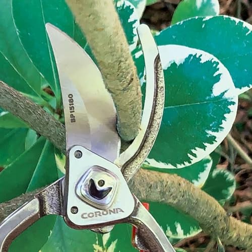 Corona BP15180 Forged Steel ClassicCUT Bypass Hand Pruner - 1 inch Cut Capacity Stem and Branch Garden Shears, Red - Image 2