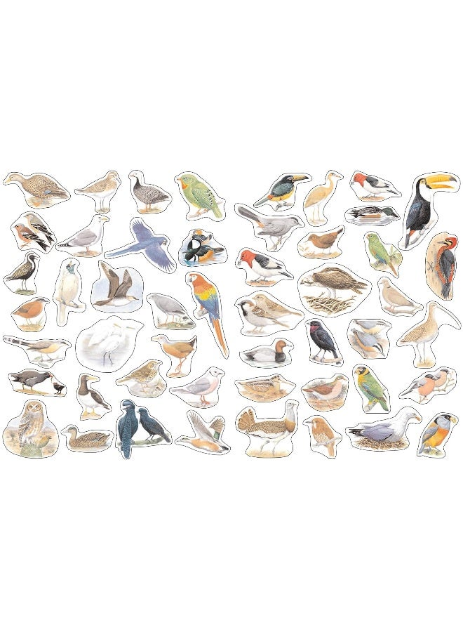 Ultimate Bird Sticker Book: with 100 amazing stickers - Image 4