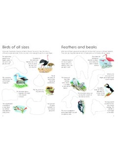 Ultimate Bird Sticker Book: with 100 amazing stickers  - Image 3