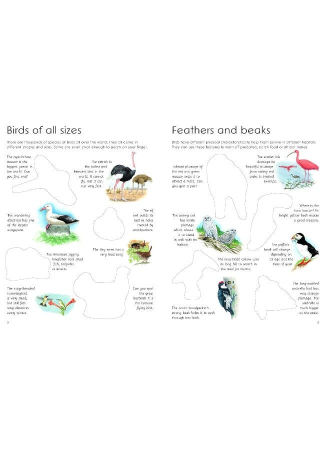 Ultimate Bird Sticker Book: with 100 amazing stickers - Image 3