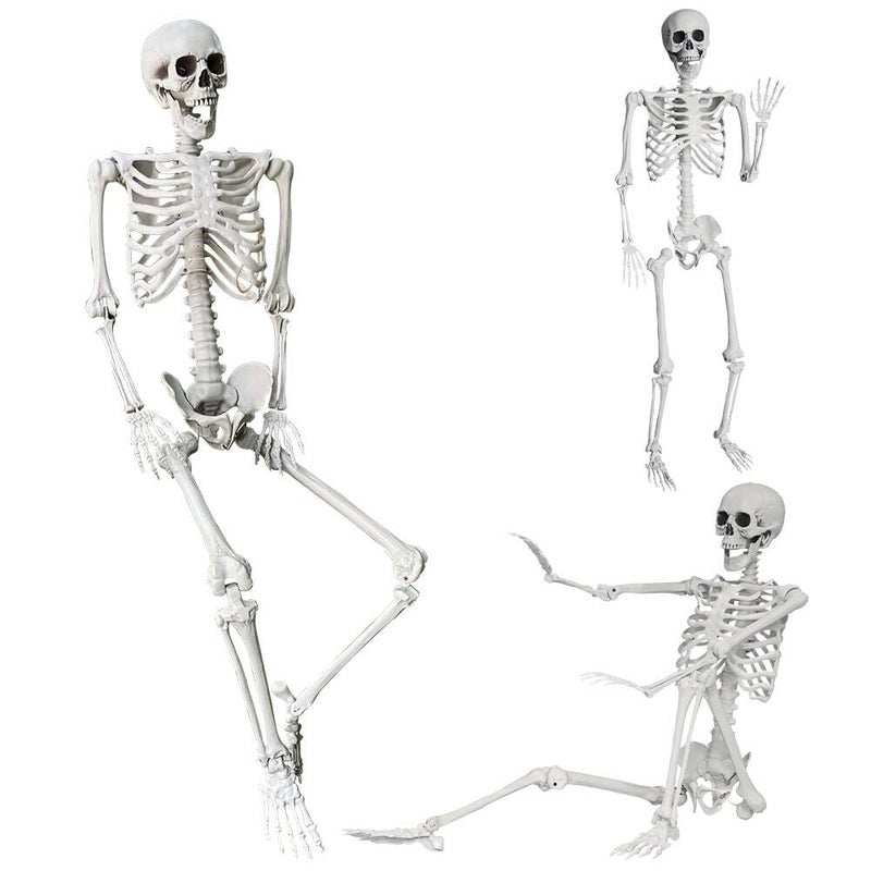 Wocst 54Ft165cm Halloween Skeleton Full Body Life Size Human Bones with Movable Joints for Indoor Outdoor Halloween Props Decorations