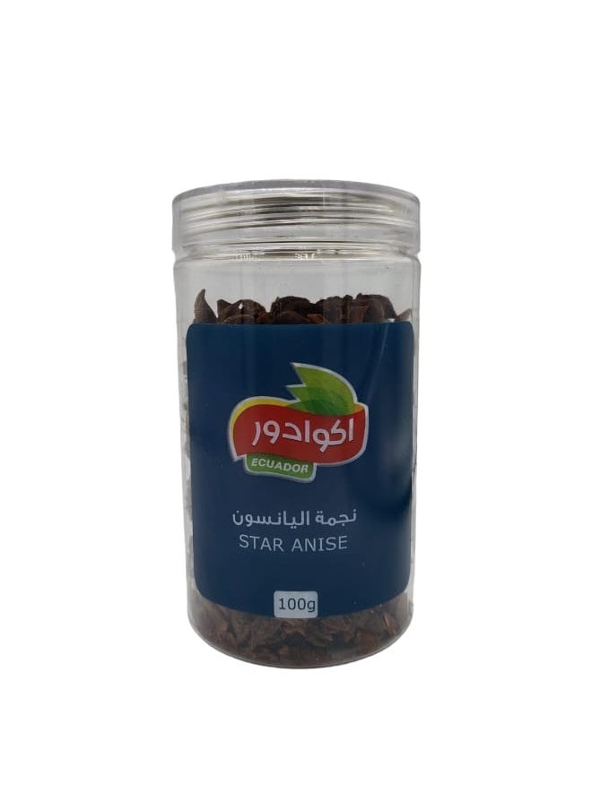 Star Anise 100 grams - pzsku/ZABFB3311F6EE85F15FF2Z/45/_/1699051847/f0253ced-d600-4daa-9e15-44726afca746