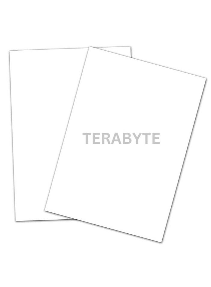 Terabyte بيت الورق والكرتون A4 220 جرام - أبيض (عبوة 50 ورقة) - Image 1