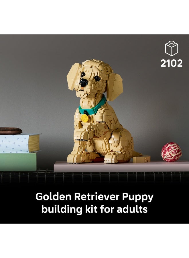 LEGO Icons Golden Retriever Puppy - Animal Figure 11384 (Age 18+, 2102 Pieces) - Image 3