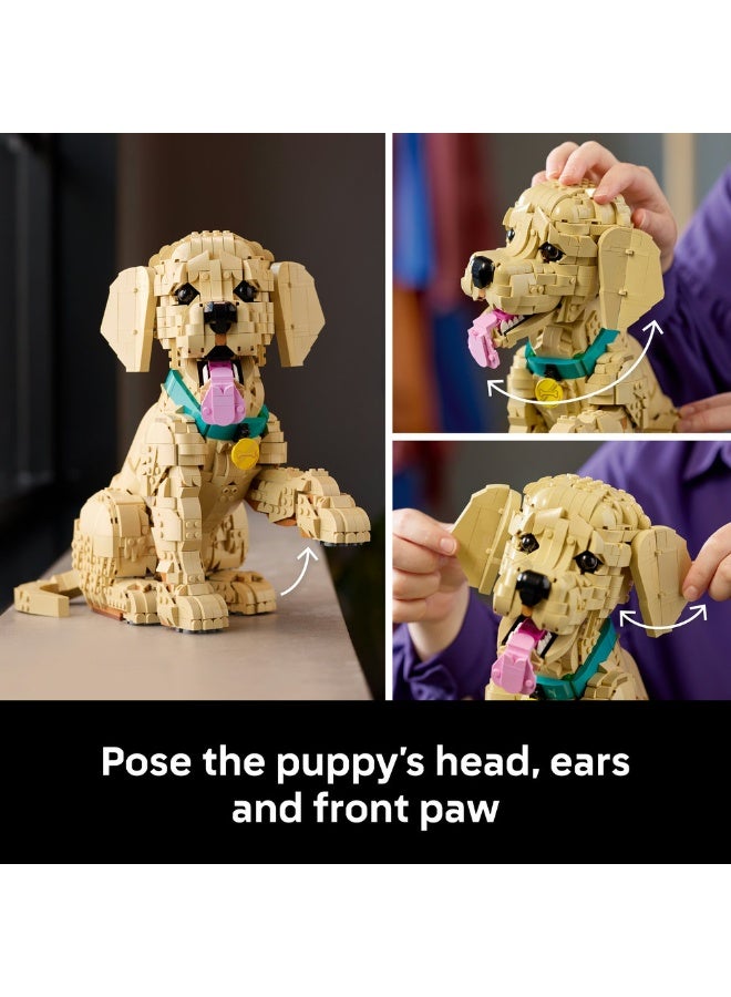 LEGO Icons Golden Retriever Puppy - Animal Figure 11384 (Age 18+, 2102 Pieces) - Image 5