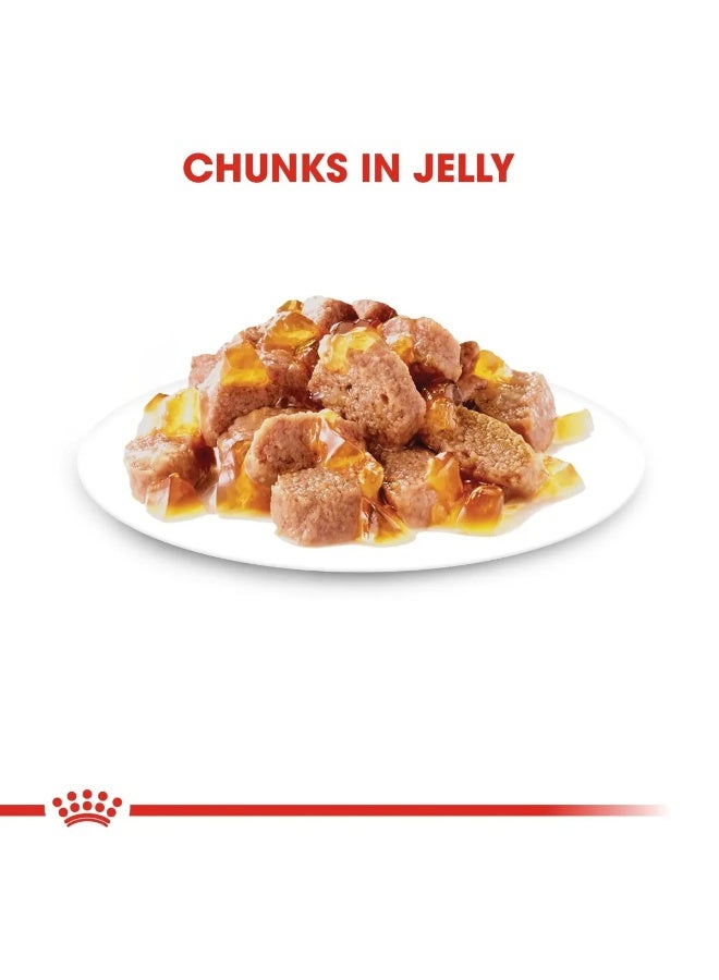 Royal Canin Feline Health Nutrition Instinctive Adult Jelly Instinctive Adult Optimal Health Wet Cat Food Pouch 12x85g - Image 5