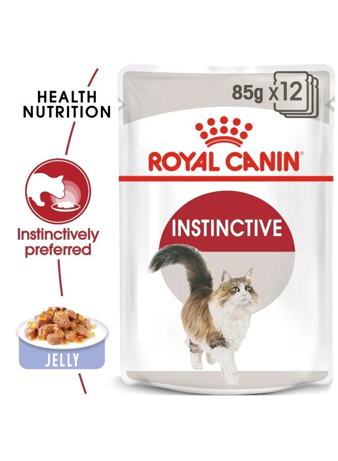 Royal Canin Feline Health Nutrition Instinctive Adult Jelly Instinctive Adult Optimal Health Wet Cat Food Pouch 12x85g - Image 1
