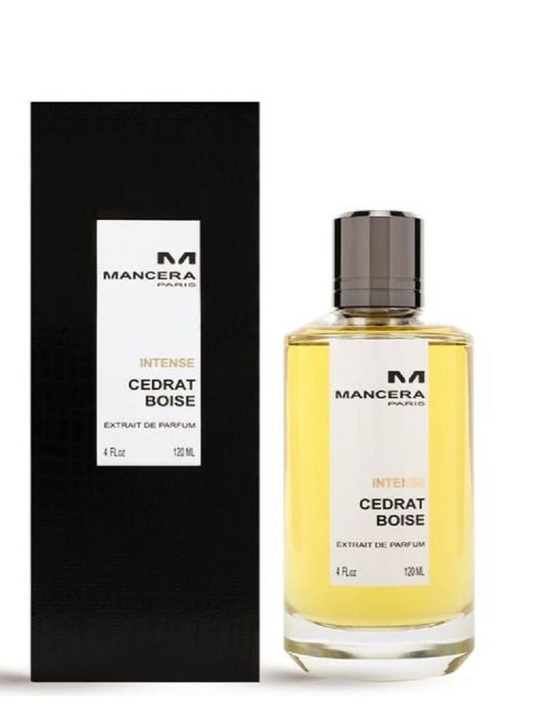 مانسيرا عطر سيدرات بويز المكثف - Image 2