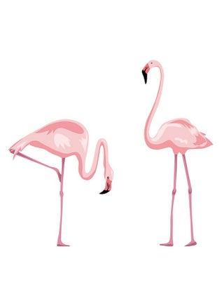 Pink Flamingo Wall Stickers Peel And Stick Wall Decals For Bedroom Living Room Kids Room Wall Decor(H: 47) - pzsku/ZAC0164BB23ED11524450Z/45/_/1720090631/0b46fc74-f613-49d4-8bcc-94b28fd781ea