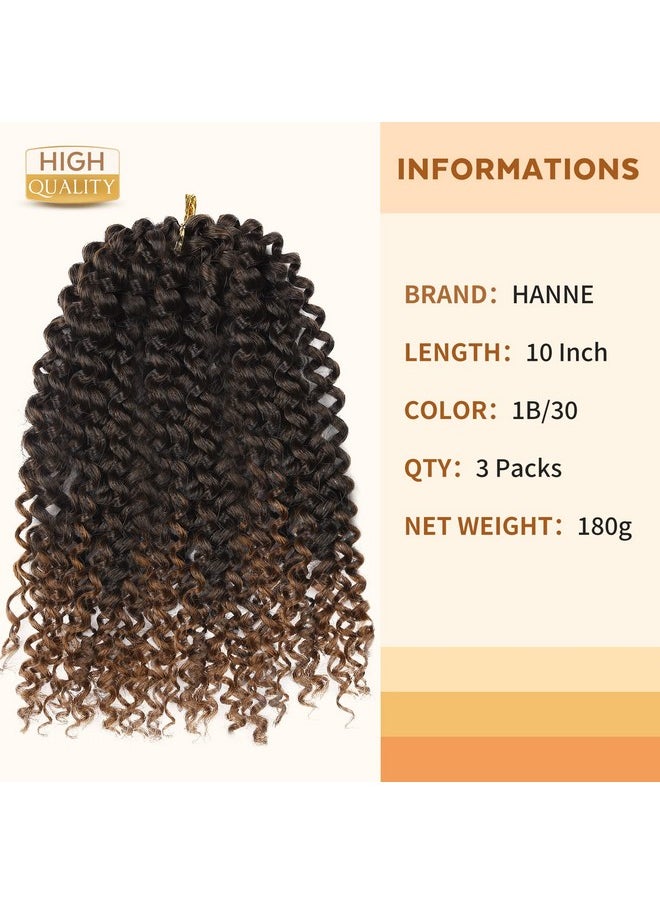 هان HANNE Afro Kinky Curly Yanky Twist Crochet Hair Bunny للنساء والرجال ذوي البشرة السمراء، 3 حزم شعر مجعد بني أومبير، وصلات شعر مجعدة صناعية (T1B/30)  - Image 3