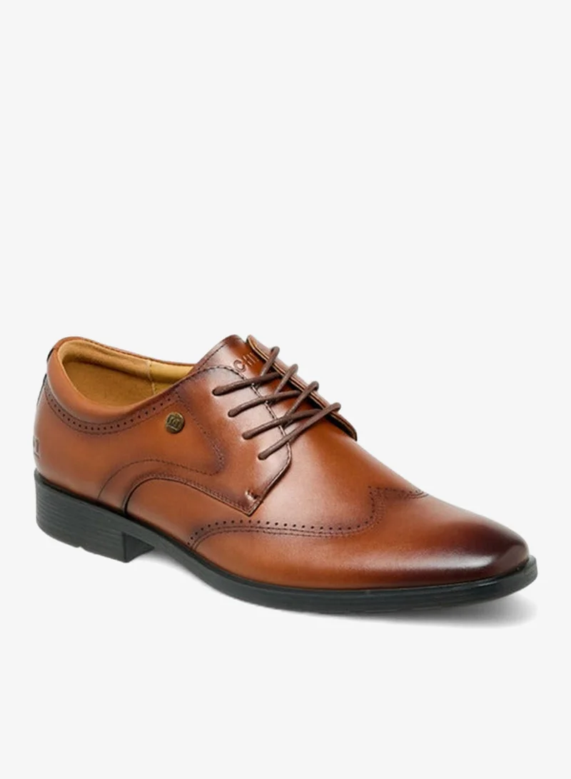 DUCHINI Men Lace-Up Leather Derby Shoes
