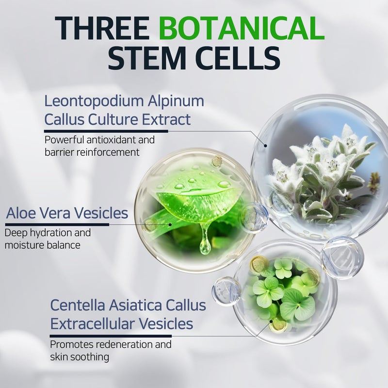 Fabyou كريم الليل ريتينول ببتيد خلايا جذعية 1.69 أونصة سائلة – خلايا جذعية نباتية لمكافحة الشيخوخة، إصلاح البشرة، تغذية، العناية بالبشرة الكورية لاستعادة الوجه أثناء الليل مع تركيبة غير لزجة وغير سامة - Image 4