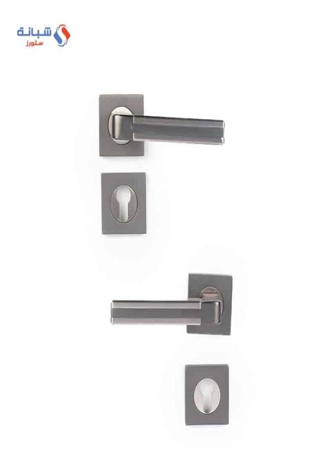Doganlar Doganlar Avatar Turkish Rosette Cylinder Door Handle Set – Nickel Famia  - Image 1