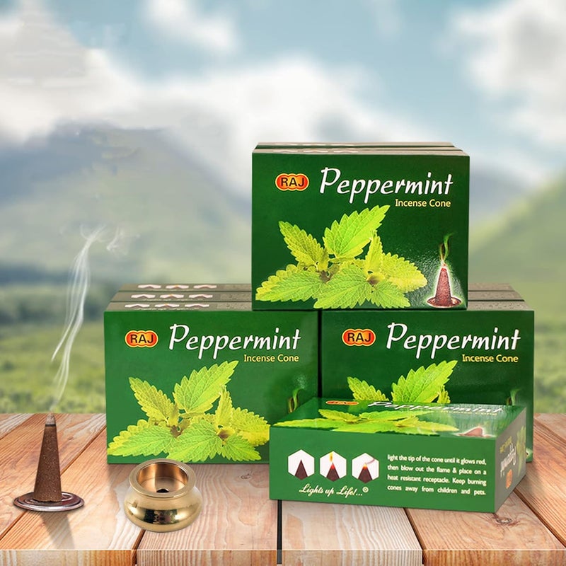 sheful Incense Cones 40 Pack, Incense Stickes with Mini Copper Holder, Long Lasting Aromatherapy for Positivity & Pure Air Stress Relief, Air Purifier & Clean, Fragrance Gift (Mint) - Image 1