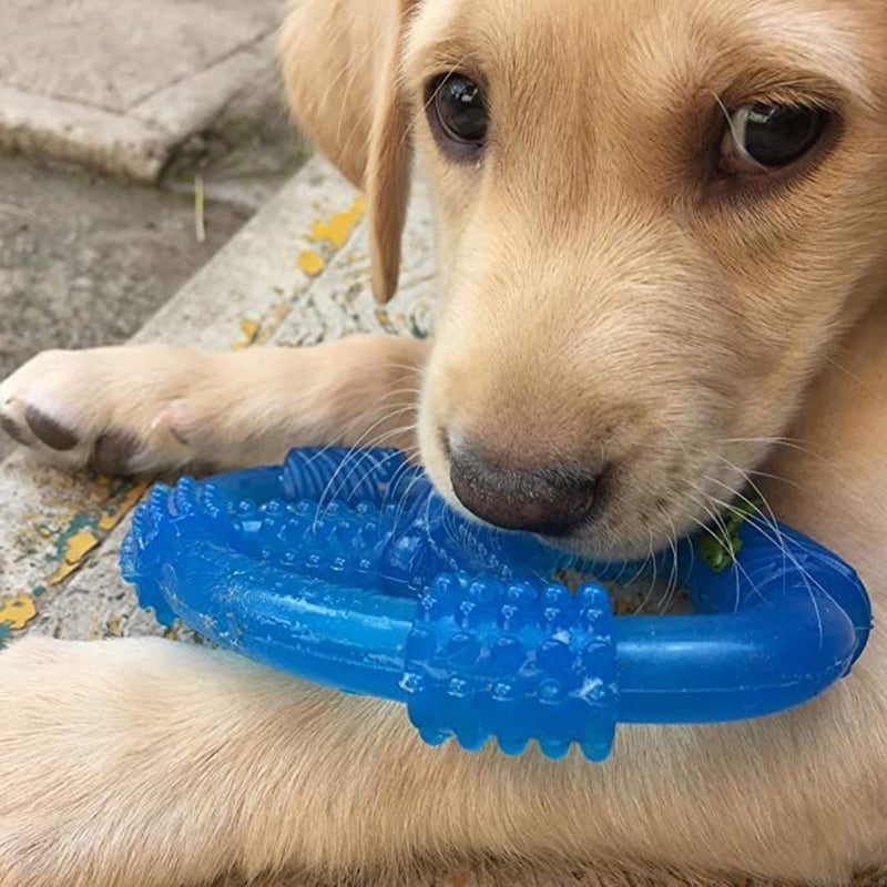 Nylabone Spin Tug & Play Puppy Chew Ring Toy, Soothing Puppy Teething Bone, Enrichment Toy for Puppies, Blue, Peanut Butter Flavor, Medium Dogs - Up to 35 lbs., 1 Count - Image 2