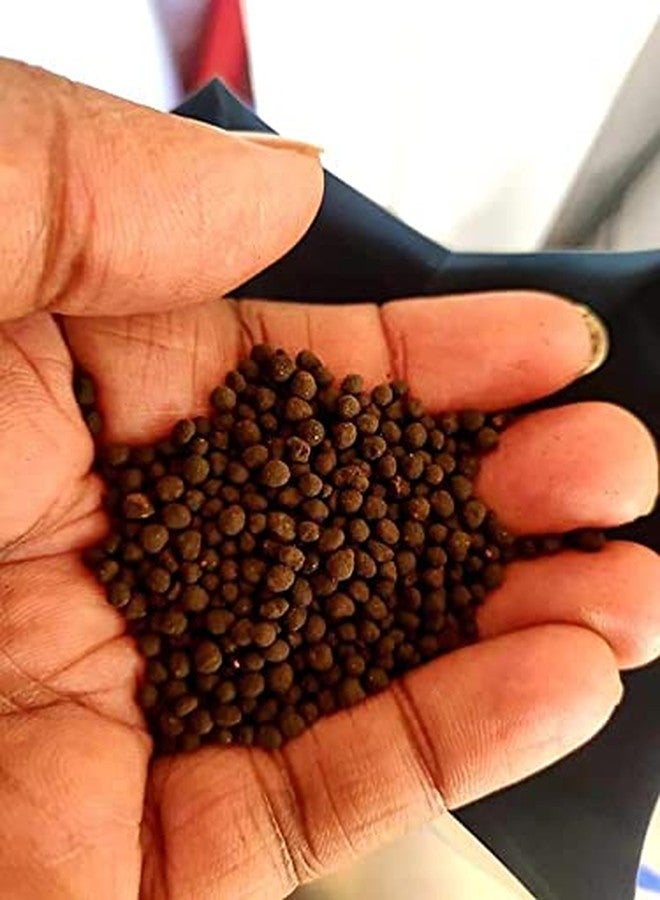 VAYINATO WA Planted Aquarium Volcano Mineral Soil for Aquatic Plants and Shrimps | Slow Nutrient Release | Natural Buffering |Crystal Clear Water (5L (with Free Root Bateria Powder)) - Image 2