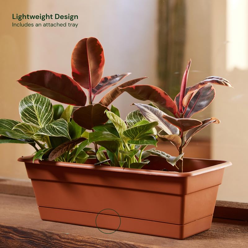 Bloem Dura Cotta Window Box Planter: 18" - Terra Cotta- with Tray, Weatherproof Resin Box, Removable Tray for Indoor & Outdoor Use, Gardening, 2 Gallon Capacity - Image 2