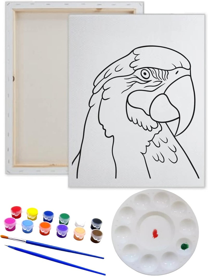 Pre Drawn Canvas Parrott Paint Kit | Adult & Teen Sip and Paint Party Favor | DIY Date Night Couple Activity (M 12X16, 12 COLORS OF PAINT)