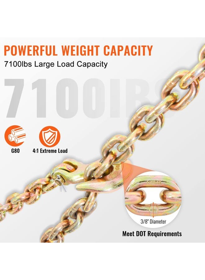 VEVOR Transport Binder Chain, 3/8''x20' Tow Chain with Grab Hooks, 7100lbs Safe Working Load, G80 Heavy Duty Chain, Logging Chain for Transporting Towing, Tie Down Binding Equipment - Image 3