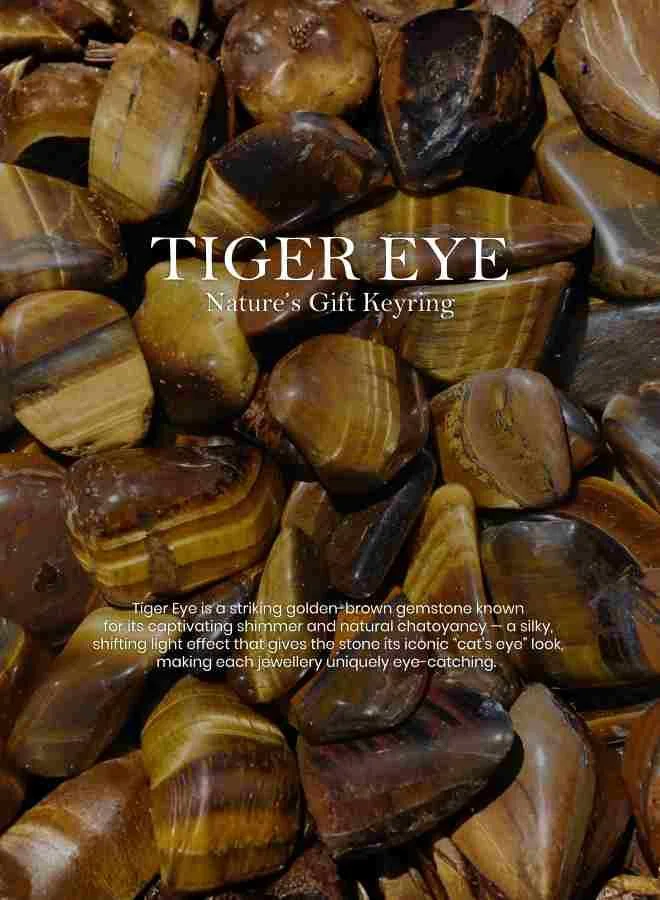 British Fossils ميدالية مفاتيح هدية الطبيعة بعين النمر