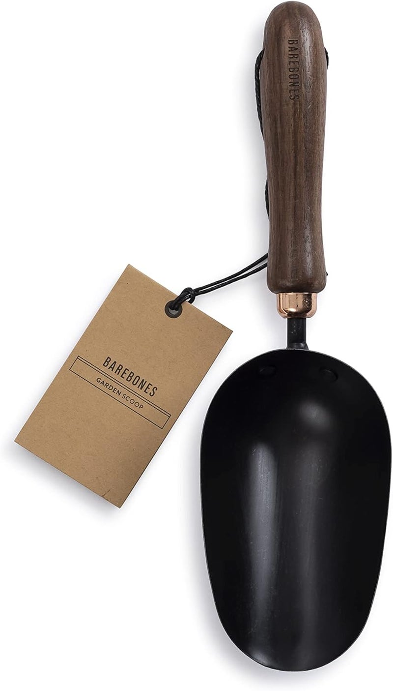 Barebones Garden Scoop - Ergonomic Stainless Steel Tool with Walnut Handle - Image 1